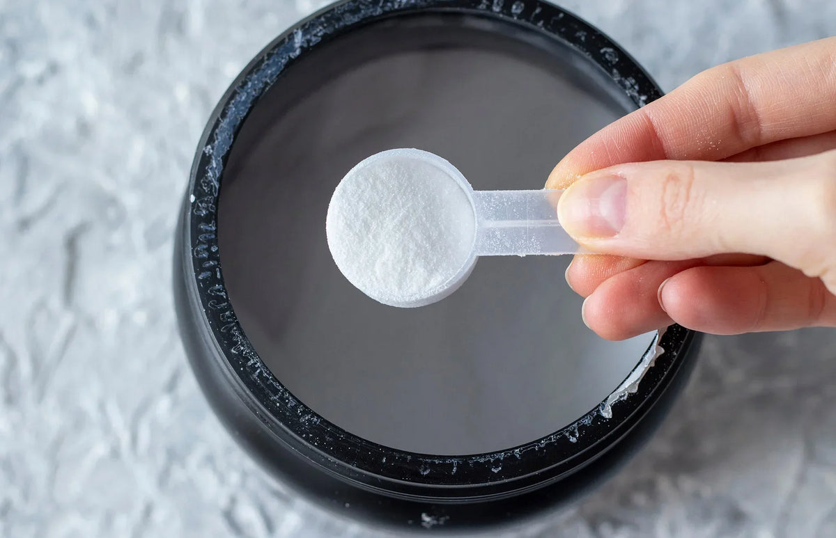 Your Guide to Amino Acids: The Building Blocks of Life